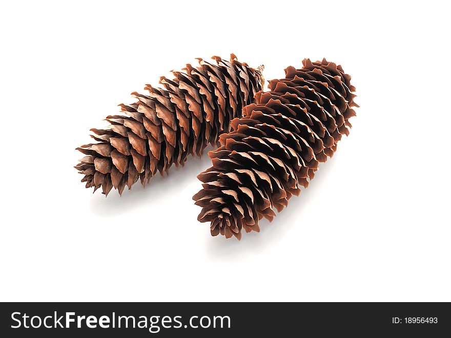 Pine cones. Isolated on a white background.