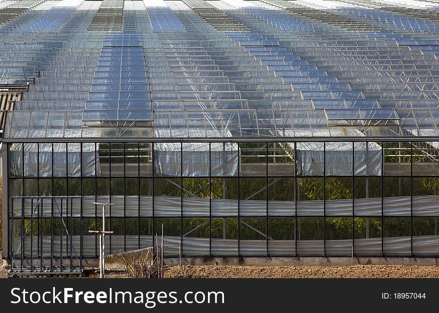 Detail of a dutch glasshouse