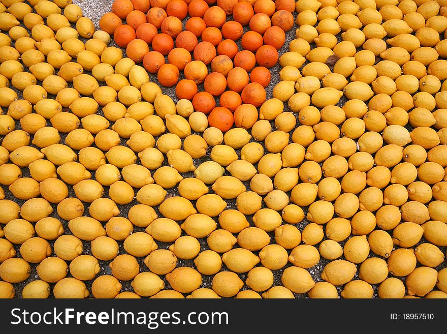 Mosaic made of oranges and lemons on Lemon Festival, March 11, 2011, Menton France. Mosaic made of oranges and lemons on Lemon Festival, March 11, 2011, Menton France.