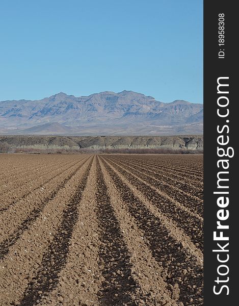 A freshly plowed plot of land near Safford Arizona. A freshly plowed plot of land near Safford Arizona.