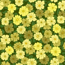 Yellow Flower Field Seamless Stock Photography Yellow Flower Field Seamless Stock Photography