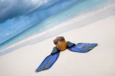 Coconut With Black Sunglasses And Blue Flippers Royalty Free Stock Photo Coconut With Black Sunglasses And Blue Flippers Royalty Free Stock Photo