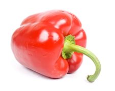 Isolated Red Bellpepper Stock Photo