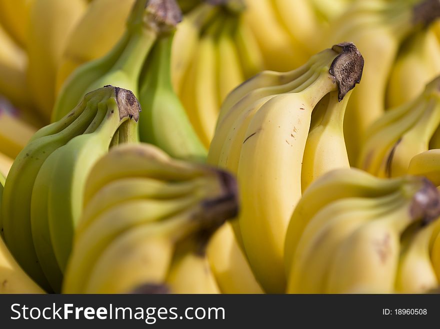 Close up on a banch of bananas among others.