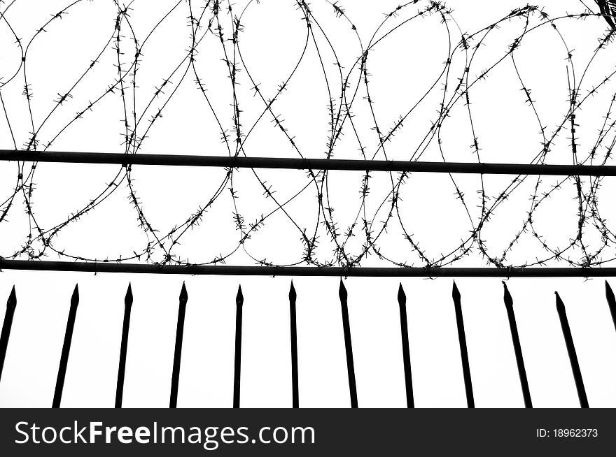 wire-gauze-free-stock-images-photos-18962373-stockfreeimages