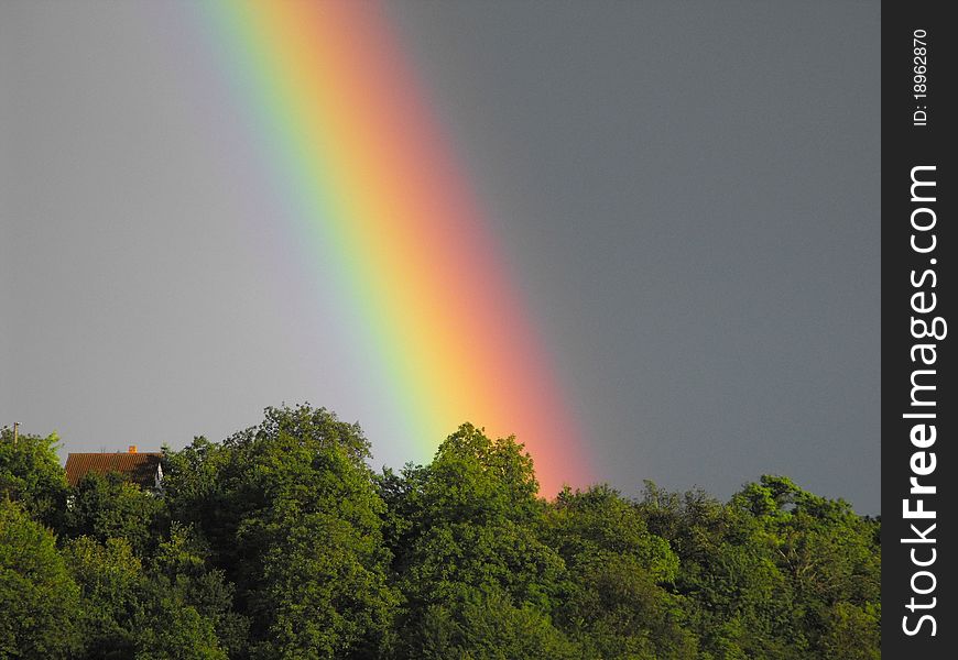 Close photo of a rainbow over the trees