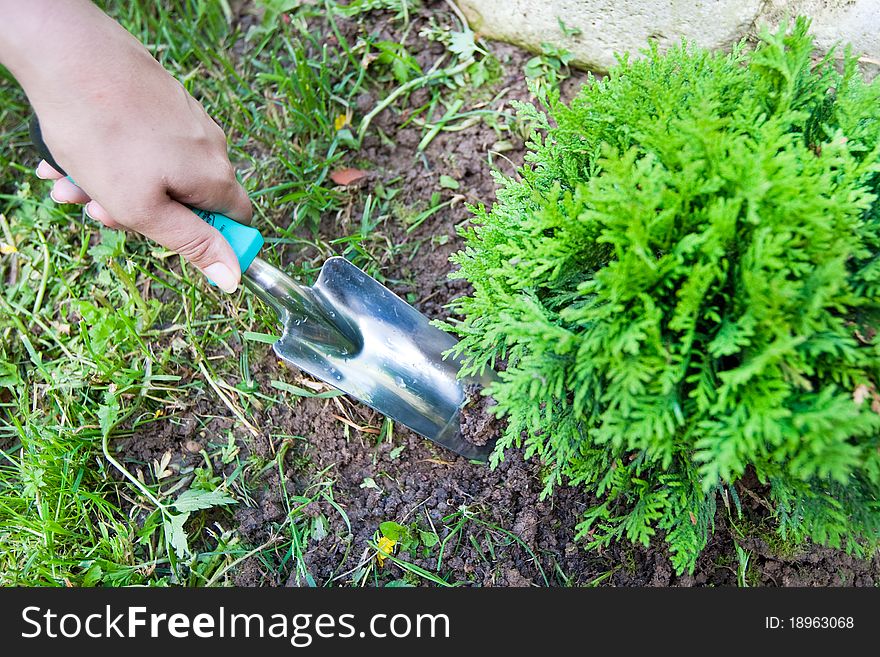 Women hand hold trowel and digging