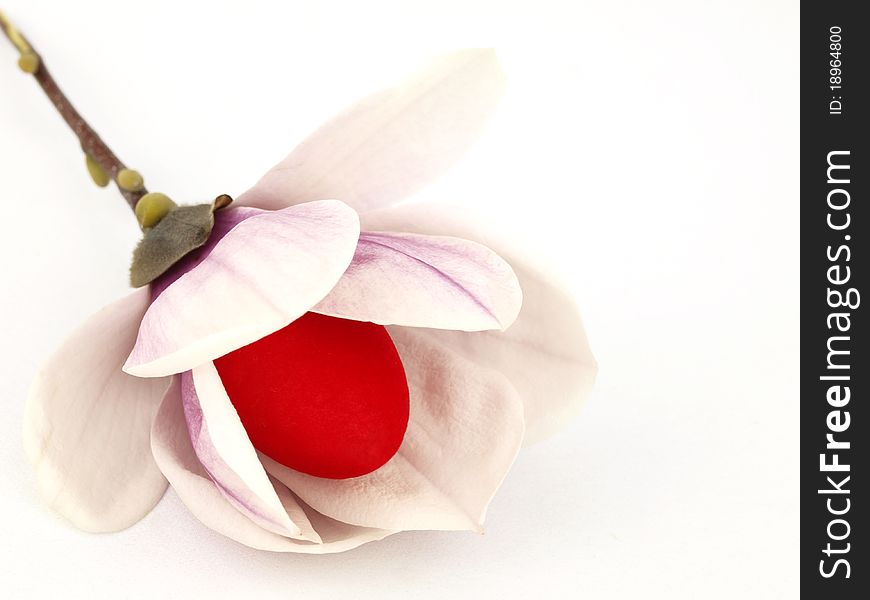 Easter eggs inside of the spring flowers isolated on white background