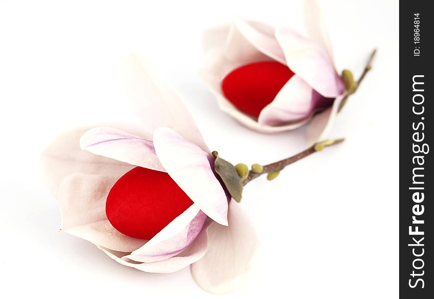 Easter eggs inside of the spring flowers isolated on white background