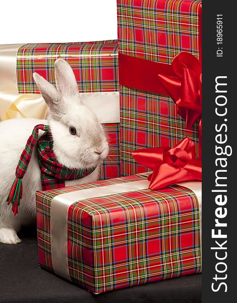 Image of fluffy rabbit rounded by gift boxes with red bows. Image of fluffy rabbit rounded by gift boxes with red bows