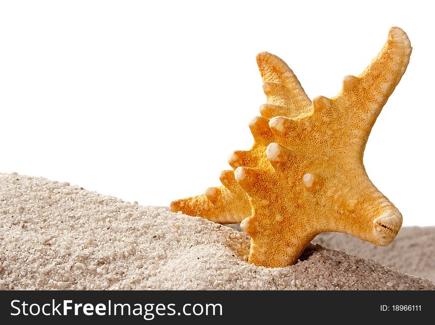 Golden starfish in sand isolated on a white background.