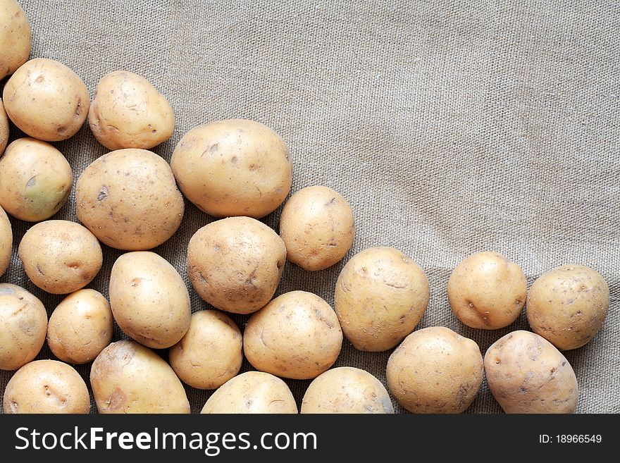 Lot of raw potatoes lying on gray canvas background. Lot of raw potatoes lying on gray canvas background