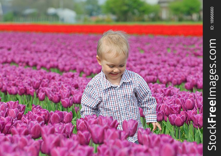 Boy In Tulip Field