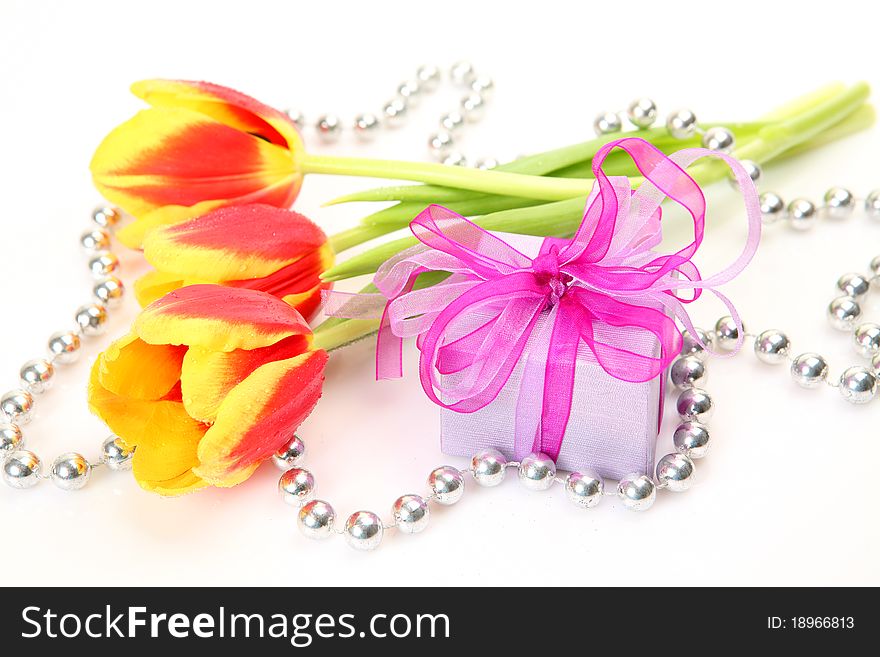 Fine tulips and gift on a white background