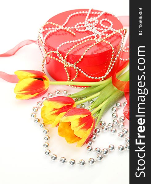 Fine tulips and gift on a white background