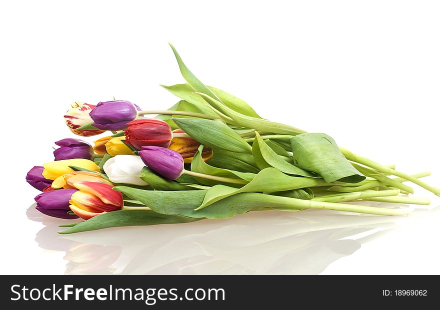 Bouquet Easter tulips as a border, copy space. studio shot, white background.