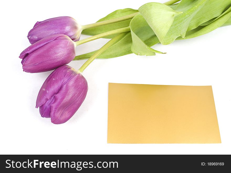 Purple tulips with gold card