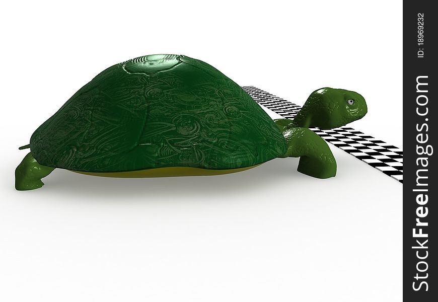 Turtle near the finish line №3