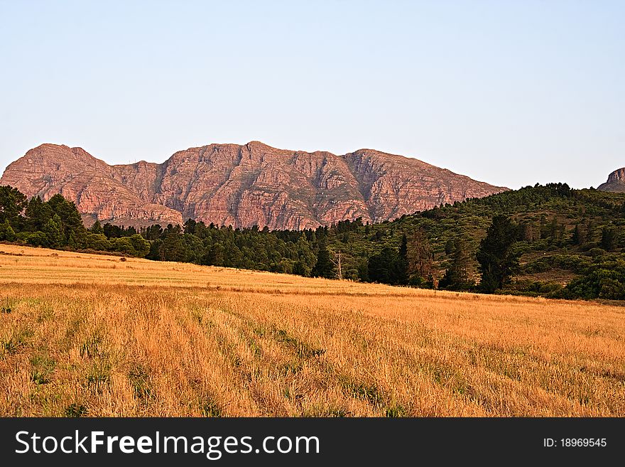 Golden fields, shadowed by the green forests and mountains. Golden fields, shadowed by the green forests and mountains