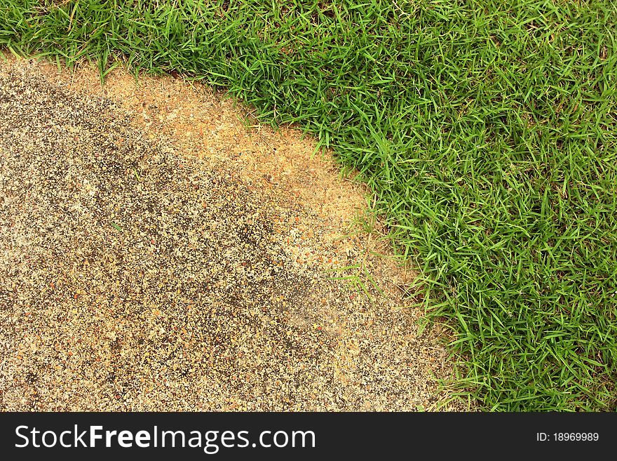 Green grass with cement texture