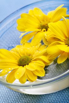 Yellow Daisies In Glass Bowl Stock Photography