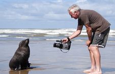 Man On Beach With A Seal Royalty Free Stock Photo Man On Beach With A Seal Royalty Free Stock Photo