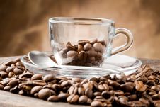 Empty Glass Cup On Coffee Beans Royalty Free Stock Photos Empty Glass Cup On Coffee Beans Royalty Free Stock Photos