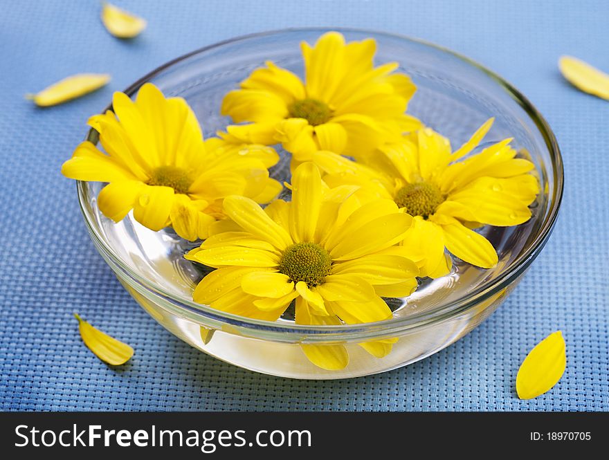 Yellow daisies in glass bowl