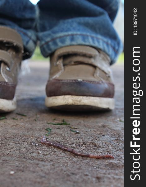 A worm on a sidewalk with a little boys shoes and pant legs in the background.