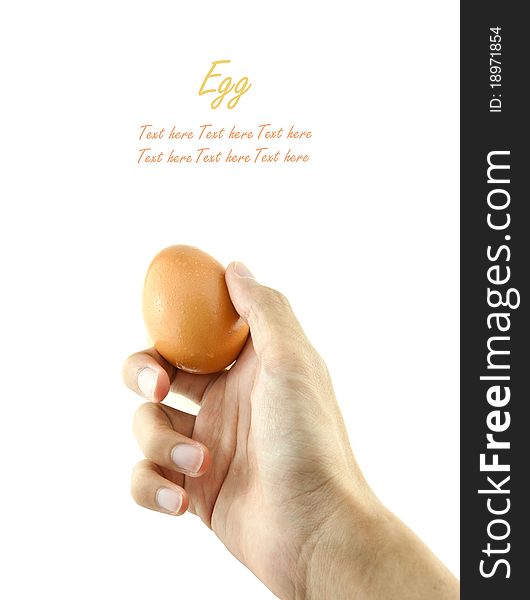 Hand Holding Egg