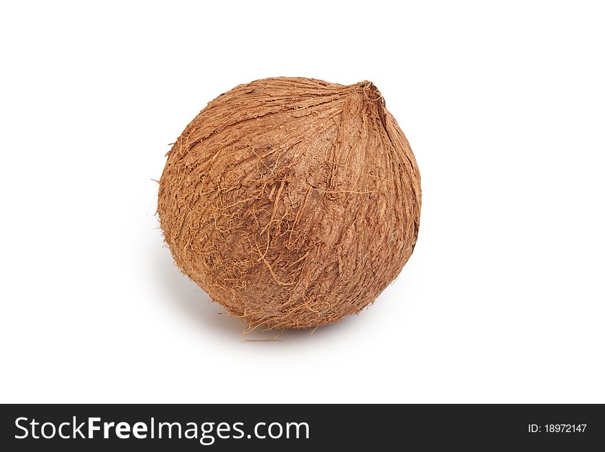 Coconut isolated on white background. Coconut isolated on white background