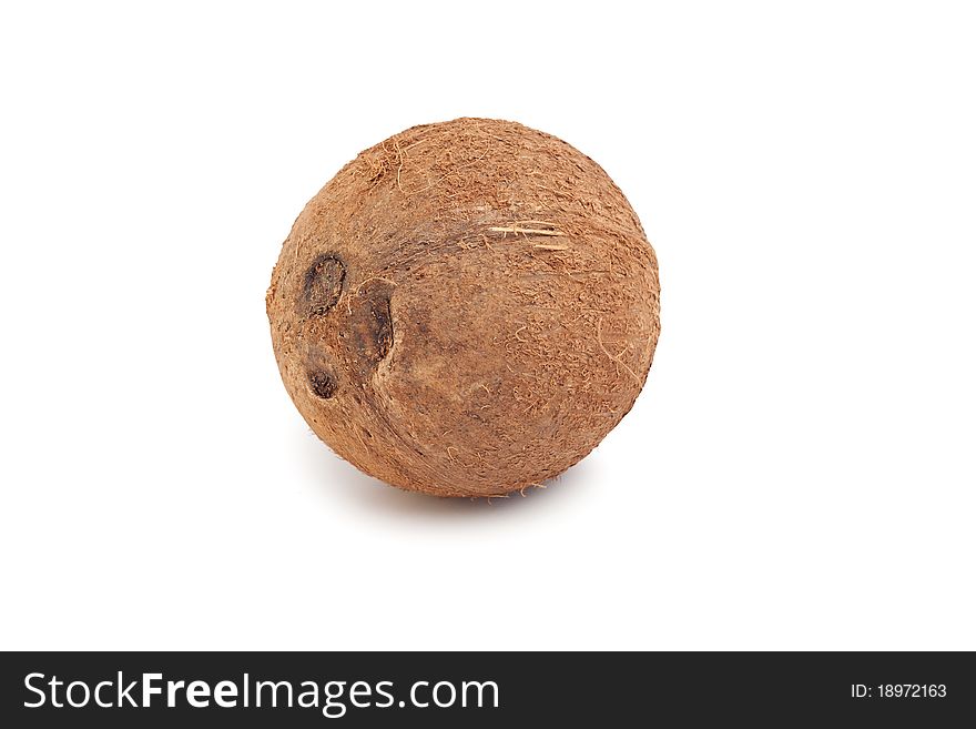 Coconut isolated on white background. Coconut isolated on white background