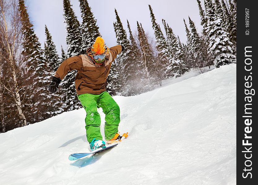 Snowboarder riding on snow-covered forest