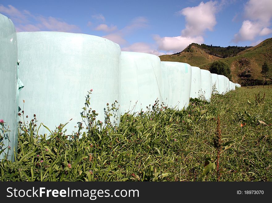 Shrink wrapped, circular, hay bales in long line against rugged farm setting. Shrink wrapped, circular, hay bales in long line against rugged farm setting