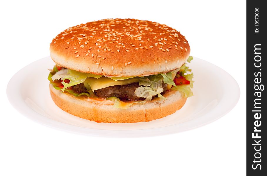 Hamburger With Vegetables On White Plate