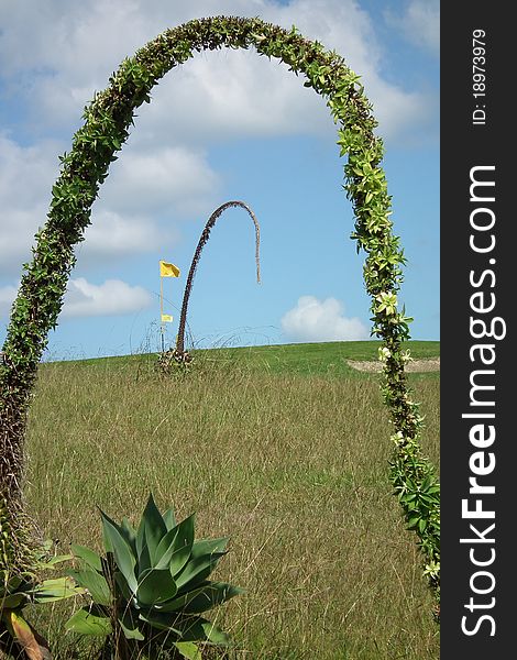 Flag on green framed by cactus type plant. Flag on green framed by cactus type plant