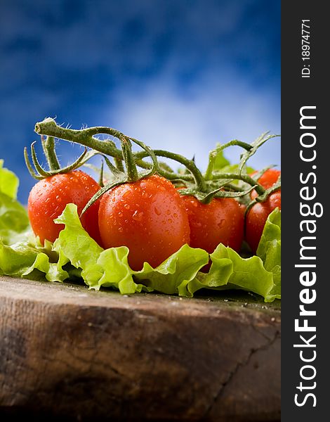 Photo of red tomatoes with water drops over lettuce bed. Photo of red tomatoes with water drops over lettuce bed