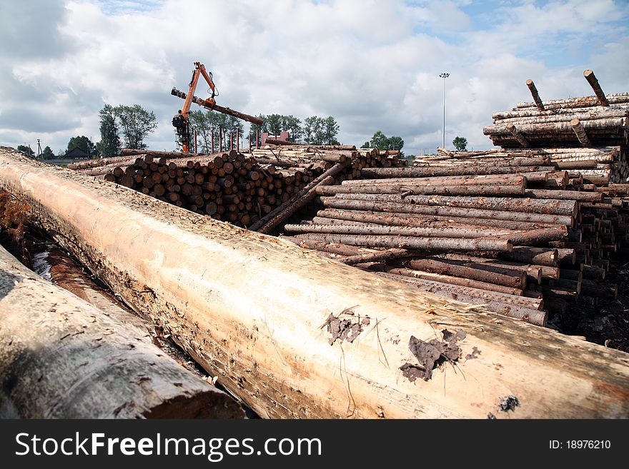 The auto-loader works in a warehouse of logs. The auto-loader works in a warehouse of logs