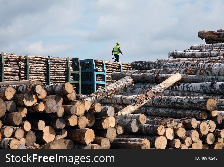 The man goes on the top of a cup in warehouse of logs. The man goes on the top of a cup in warehouse of logs