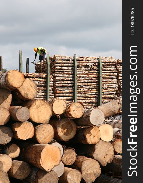 The man works on the top of a cup in warehouse of logs. The man works on the top of a cup in warehouse of logs