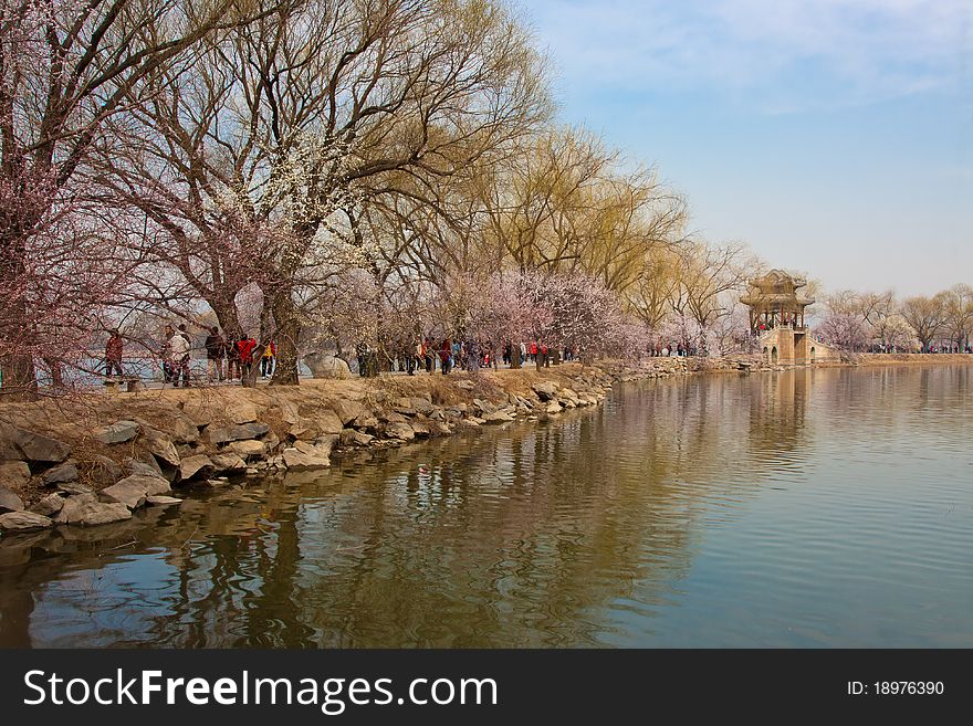 Summer palace in spring, beijing, china