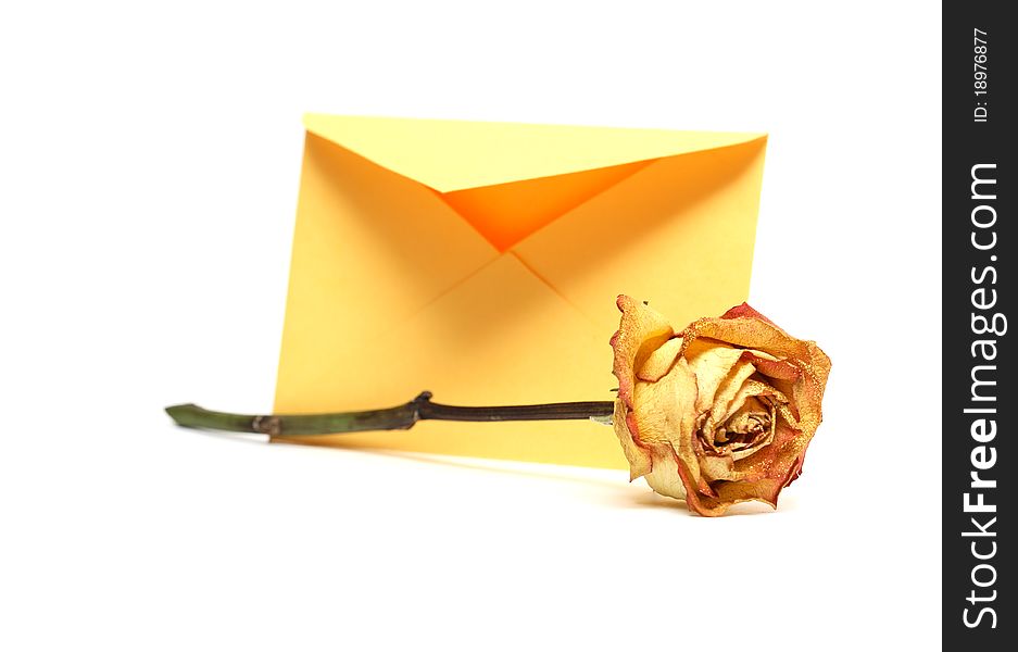 Rose lying near open yellow envelope on white background. Rose lying near open yellow envelope on white background