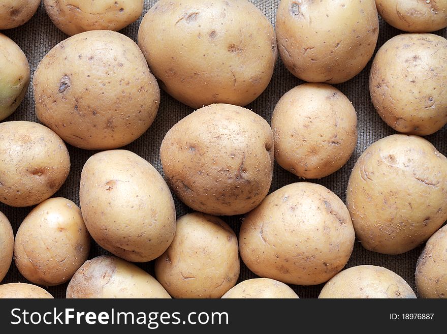Lot of raw potatoes lying on gray canvas background