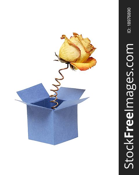 Rose head jump out from box with metal spring. Isolated on white with clipping path. Rose head jump out from box with metal spring. Isolated on white with clipping path