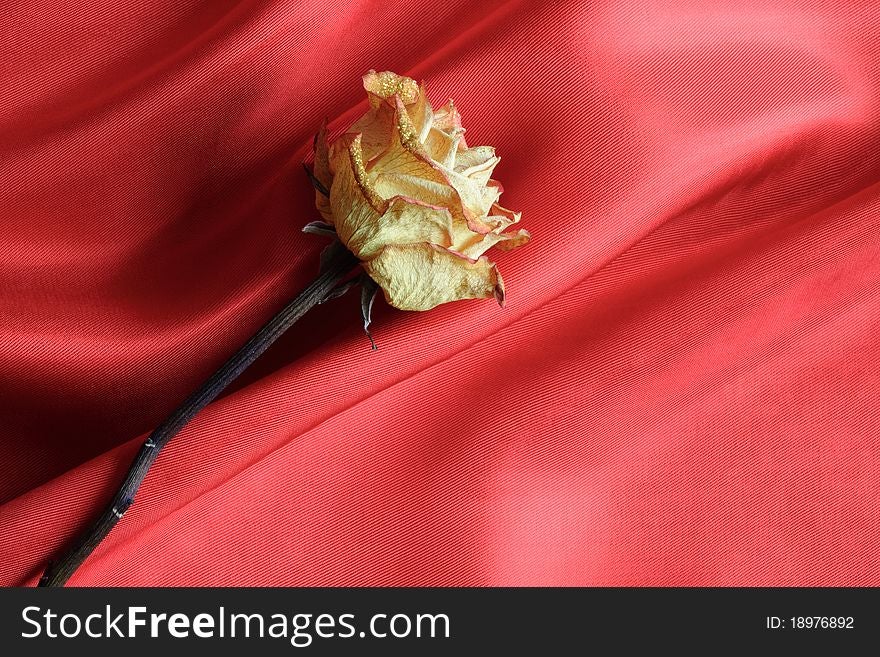 Yellow dry rose lying on nice red silk background. Yellow dry rose lying on nice red silk background