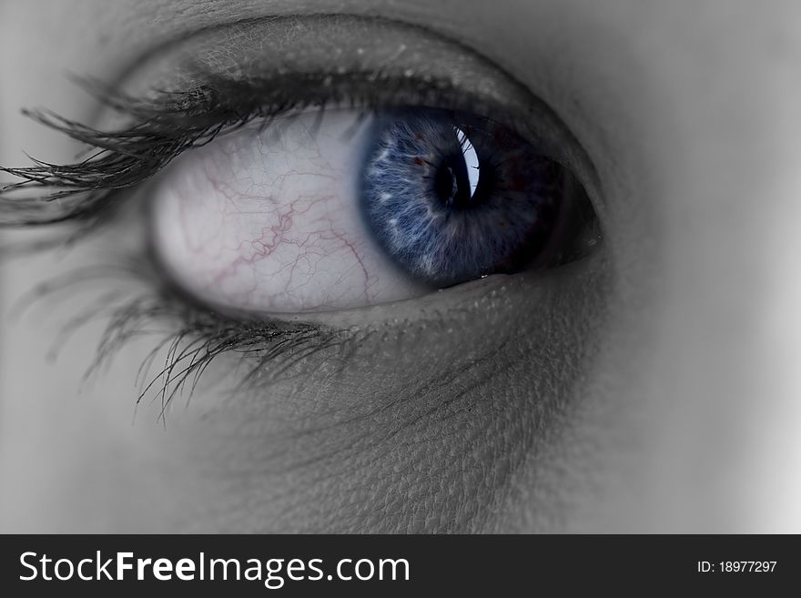 Close-up of blue woman eye, macro. Close-up of blue woman eye, macro