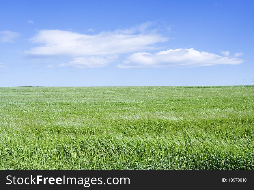 Rural landscape with green field and blue sky. Rural landscape with green field and blue sky.