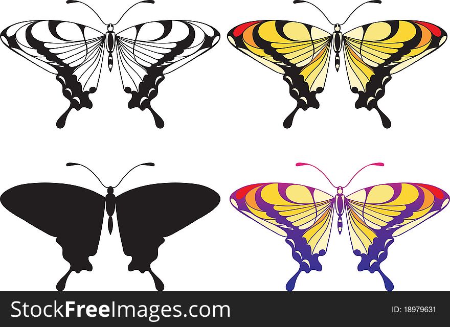 Set of butterflies isolated on white background