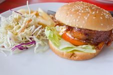 Chicken Burger With Tomato Cucumber Lettuce Stock Photography Chicken Burger With Tomato Cucumber Lettuce Stock Photography