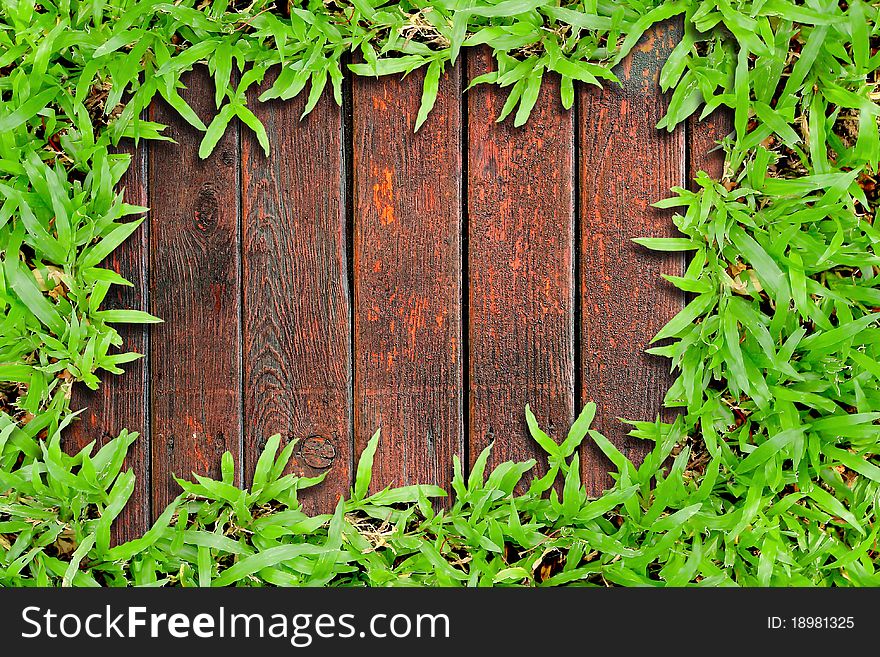 Fresh grass and multicolor wood background. Fresh grass and multicolor wood background